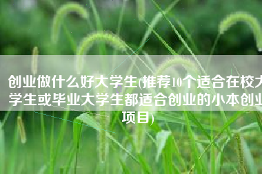 创业做什么好大学生(推荐10个适合在校大学生或毕业大学生都适合创业的小本创业项目)