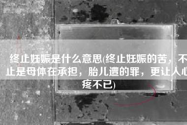 终止妊娠是什么意思(终止妊娠的苦，不止是母体在承担，胎儿遭的罪，更让人心疼不已)