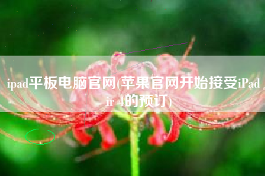 ipad平板电脑官网(苹果官网开始接受iPad Air 4的预订)