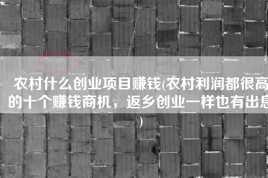 农村什么创业项目赚钱(农村利润都很高的十个赚钱商机，返乡创业一样也有出息)