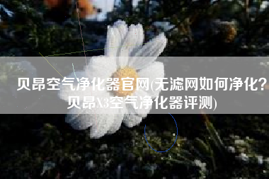 贝昂空气净化器官网(无滤网如何净化？贝昂X3空气净化器评测)