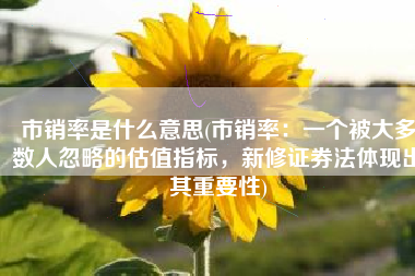 市销率是什么意思(市销率：一个被大多数人忽略的估值指标，新修证券法体现出其重要性)