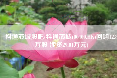 科通芯城股吧(科通芯城(00400.HK)回购12.8万股 涉资29.01万元)