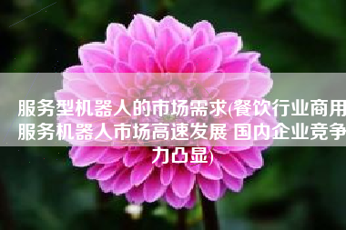 服务型机器人的市场需求(餐饮行业商用服务机器人市场高速发展 国内企业竞争力凸显)