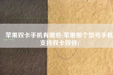 苹果双卡手机有哪些(苹果那个型号手机支持双卡双待)