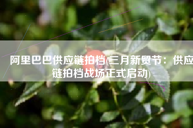阿里巴巴供应链拍档(三月新贸节：供应链拍档战场正式启动)