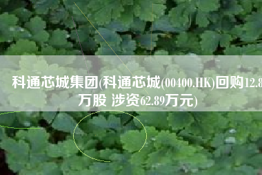 科通芯城集团(科通芯城(00400.HK)回购12.8万股 涉资62.89万元)