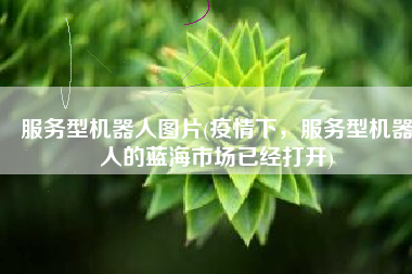 服务型机器人图片(疫情下，服务型机器人的蓝海市场已经打开)