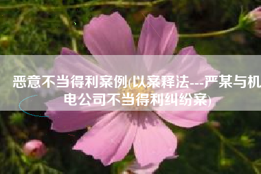 恶意不当得利案例(以案释法---严某与机电公司不当得利纠纷案)
