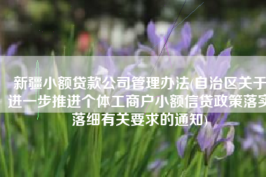 新疆小额贷款公司管理办法(自治区关于进一步推进个体工商户小额信贷政策落实落细有关要求的通知)