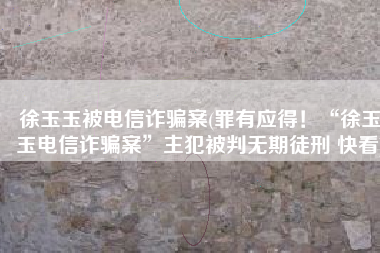 徐玉玉被电信诈骗案(罪有应得！“徐玉玉电信诈骗案”主犯被判无期徒刑 快看)