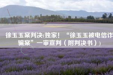 徐玉玉案判决(独家！“徐玉玉被电信诈骗案”一审宣判（附判决书）)