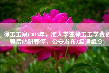 徐玉玉案(2016年，准大学生徐玉玉学费被骗后心脏骤停，公安发布A级通缉令)