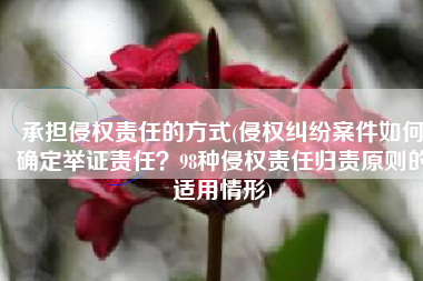 承担侵权责任的方式(侵权纠纷案件如何确定举证责任？98种侵权责任归责原则的适用情形)