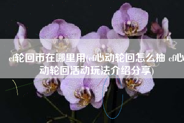 cf轮回币在哪里用(cf心动轮回怎么抽 cf心动轮回活动玩法介绍分享)