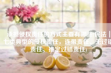 承担侵权责任的方式主要有哪些(民法｜七类典型的侵权责任，连带责任、无过错责任、推定过错责任)