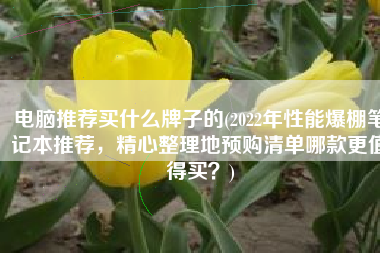 电脑推荐买什么牌子的(2022年性能爆棚笔记本推荐，精心整理地预购清单哪款更值得买？)