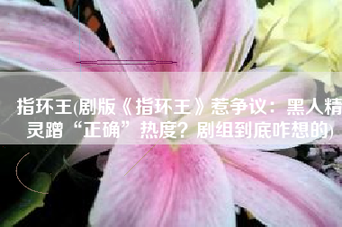 指环王(剧版《指环王》惹争议：黑人精灵蹭“正确”热度？剧组到底咋想的)