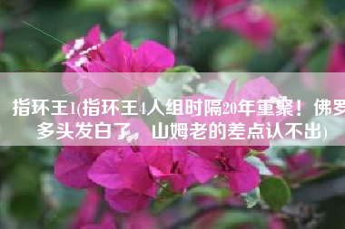 指环王1(指环王4人组时隔20年重聚！佛罗多头发白了，山姆老的差点认不出)