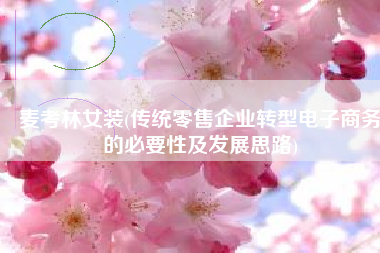麦考林女装(传统零售企业转型电子商务的必要性及发展思路)
