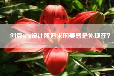 创意logo设计所追求的美感是体现在？