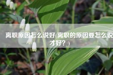 离职原因怎么说好(离职的原因要怎么说才好？)