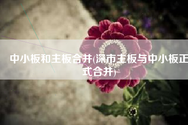 中小板和主板合并(深市主板与中小板正式合并)