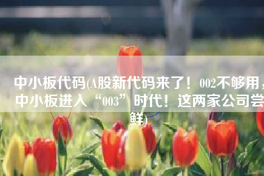 中小板代码(A股新代码来了！002不够用，中小板进入“003”时代！这两家公司尝鲜)