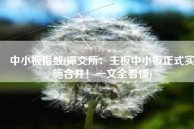 中小板指数(深交所：主板中小板正式实施合并！一文全看懂)