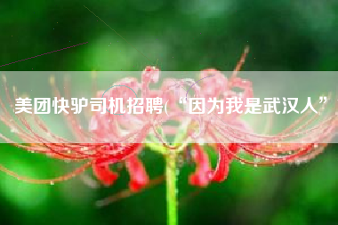 美团快驴司机招聘(“因为我是武汉人”)