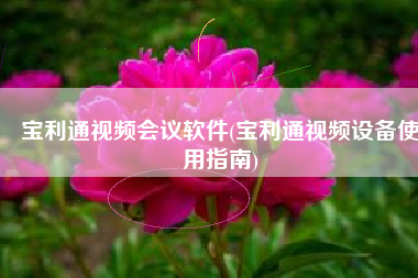 宝利通视频会议软件(宝利通视频设备使用指南)