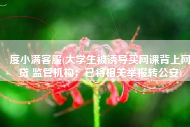 度小满客服(大学生被诱导买网课背上网贷 监管机构：已将相关举报转公安)
