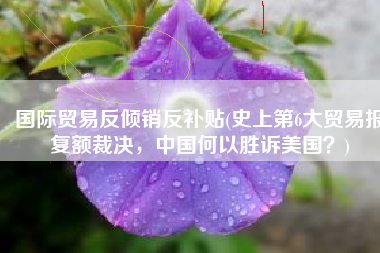 国际贸易反倾销反补贴(史上第6大贸易报复额裁决，中国何以胜诉美国？)