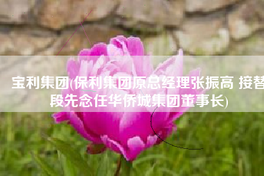 宝利集团(保利集团原总经理张振高 接替段先念任华侨城集团董事长)