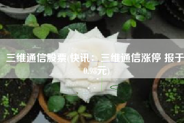 三维通信股票(快讯：三维通信涨停 报于10.98元)