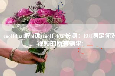 cool1dual解bl锁(cool1 dual长测：EUI满足你对视频的所有需求)