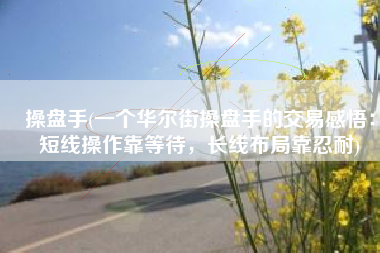 操盘手(一个华尔街操盘手的交易感悟：短线操作靠等待，长线布局靠忍耐)