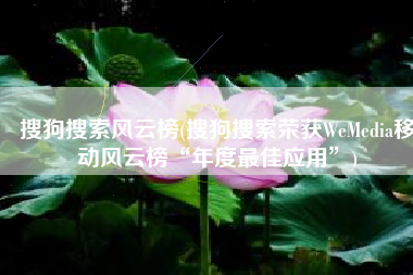 搜狗搜索风云榜(搜狗搜索荣获WeMedia移动风云榜“年度最佳应用”)