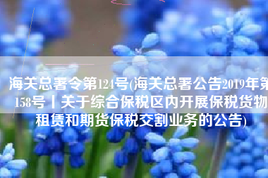海关总署令第124号(海关总署公告2019年第158号丨关于综合保税区内开展保税货物租赁和期货保税交割业务的公告)