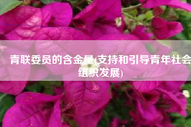 青联委员的含金量(支持和引导青年社会组织发展)