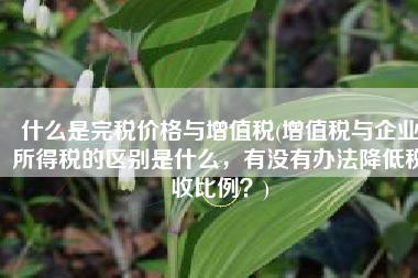 什么是完税价格与增值税(增值税与企业所得税的区别是什么，有没有办法降低税收比例？)