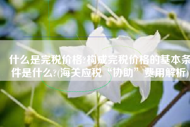 什么是完税价格?构成完税价格的基本条件是什么?(海关应税“协助”费用解析)