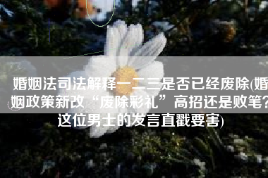 婚姻法司法解释一二三是否已经废除(婚姻政策新改“废除彩礼”高招还是败笔？这位男士的发言直戳要害)