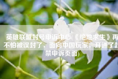 英雄联盟封号申诉中心(《绝地求生》再不怕被误封了，面向中国玩家，开通了封禁申诉页面)