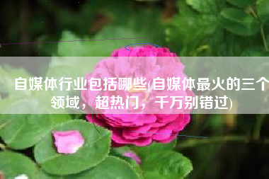 自媒体行业包括哪些(自媒体最火的三个领域，超热门，千万别错过)