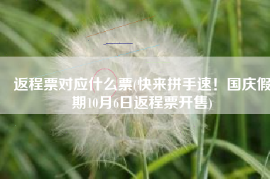 返程票对应什么票(快来拼手速！国庆假期10月6日返程票开售)