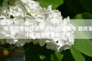 电信宽带在线测网速(让网速起飞 居民家中实测电信华翼宽带)