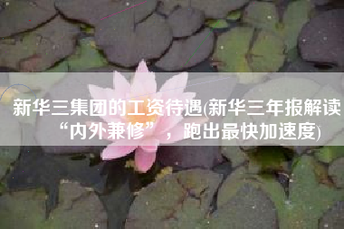 新华三集团的工资待遇(新华三年报解读：“内外兼修”，跑出最快加速度)