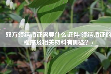 双方领结婚证需要什么证件(领结婚证的程序及相关材料有哪些？)