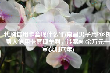 代刷信用卡套现什么罪(南昌男子用POS机帮人信用卡套现牟利，涉案900余万元一审获刑六年)